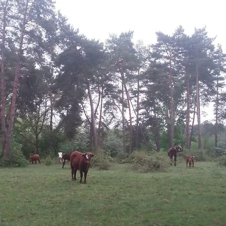 Touvent Maison Au Milieu Des Bois Holiday home